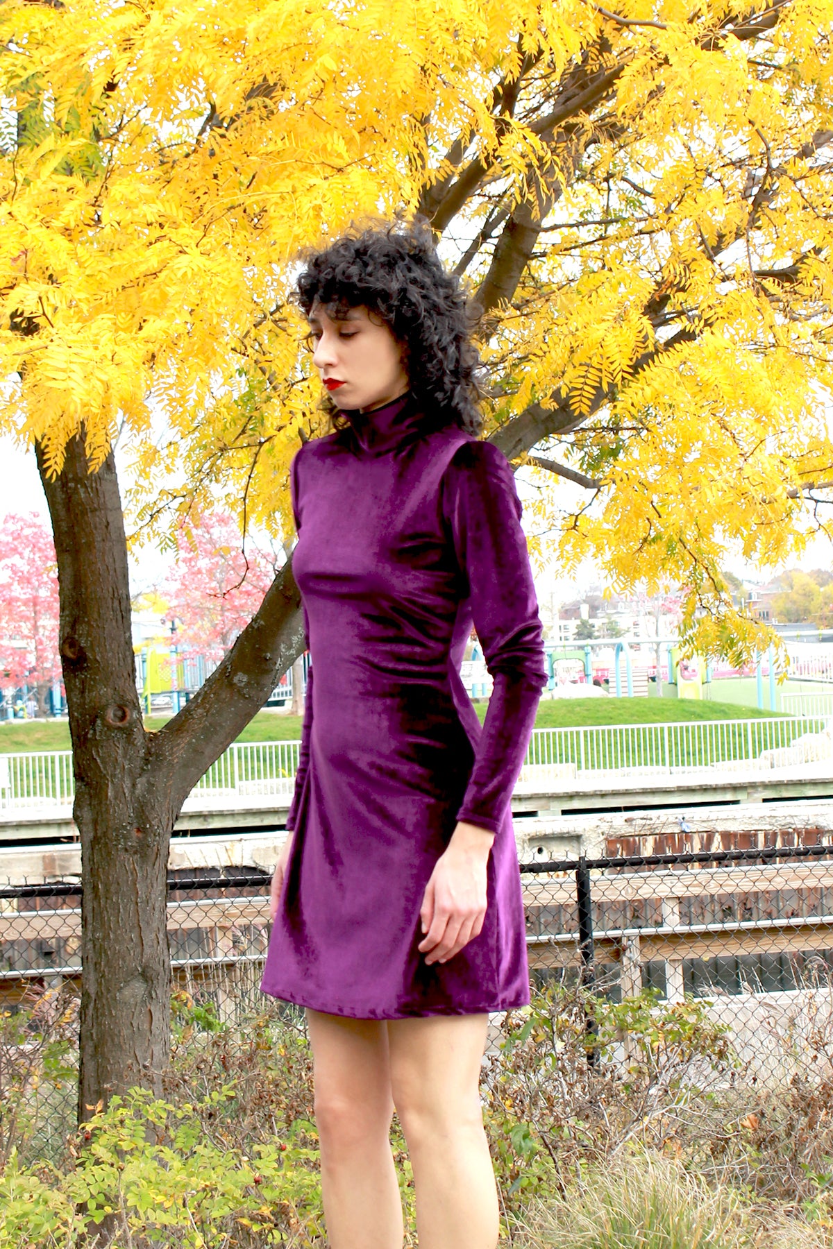 Plum Zoe Dress